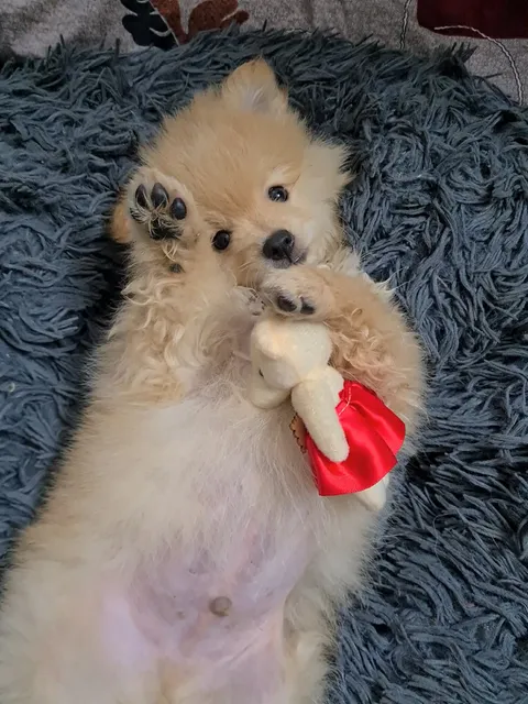 Coco 2