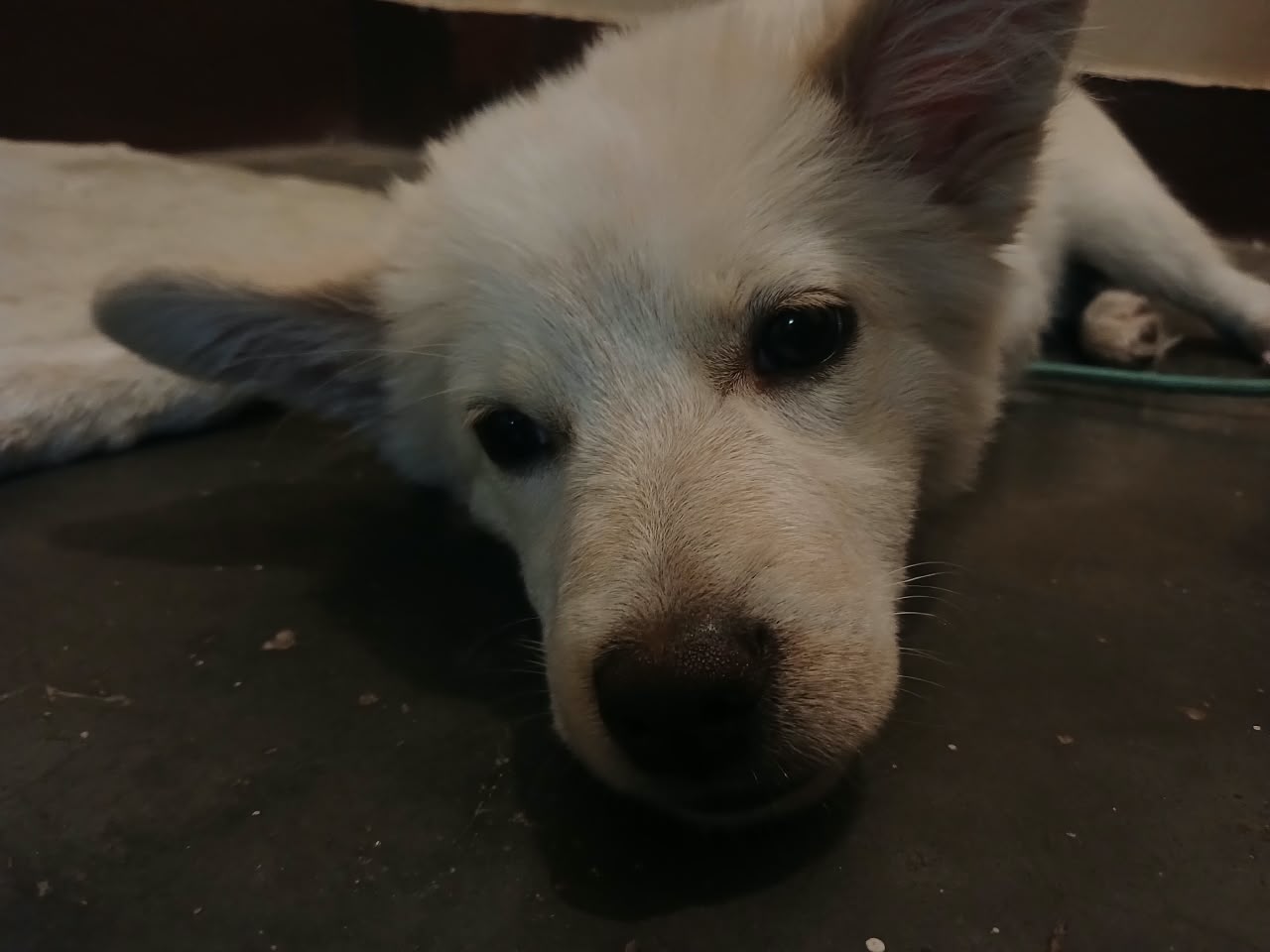 Luna 3