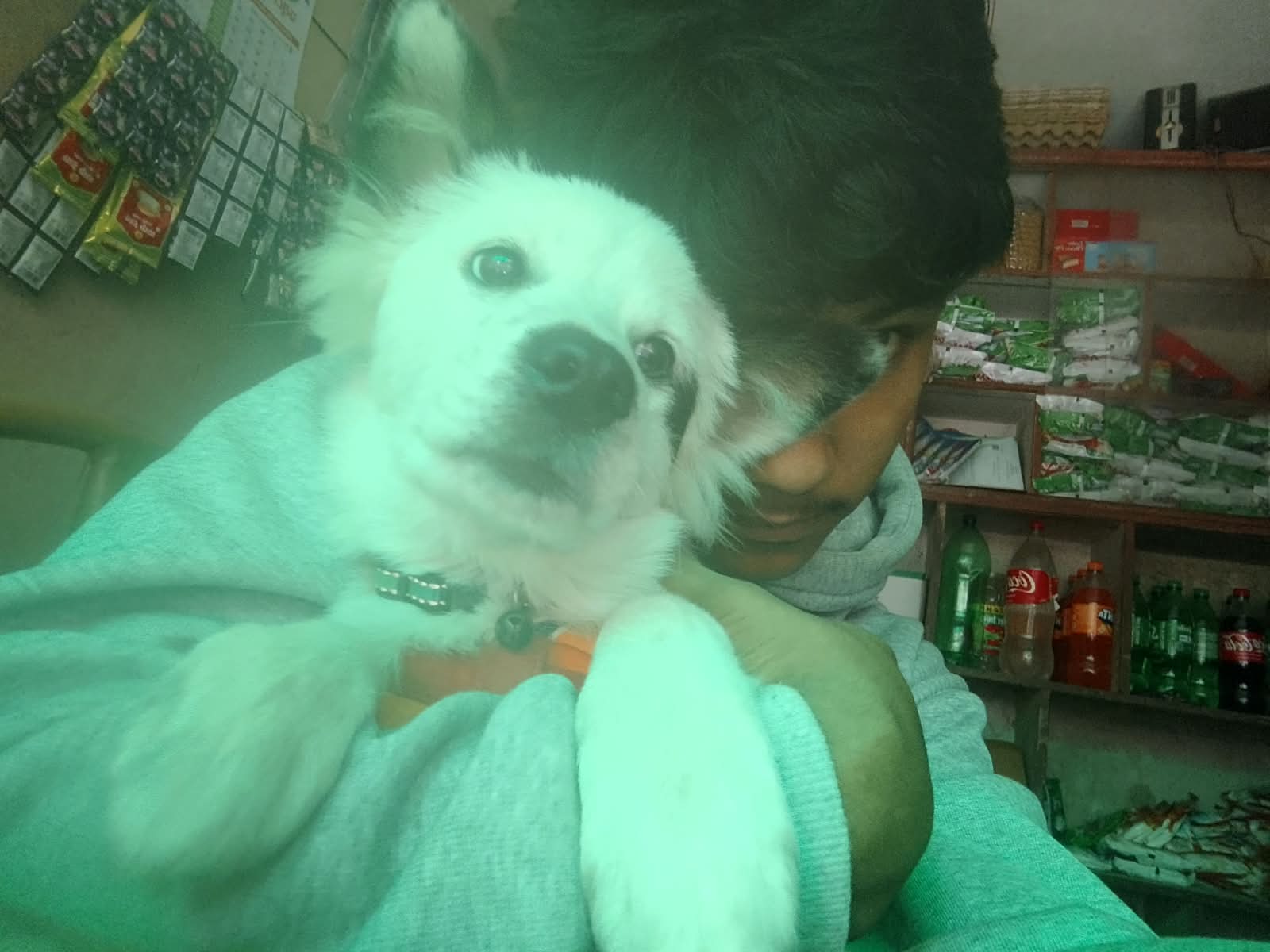 Mochi 3