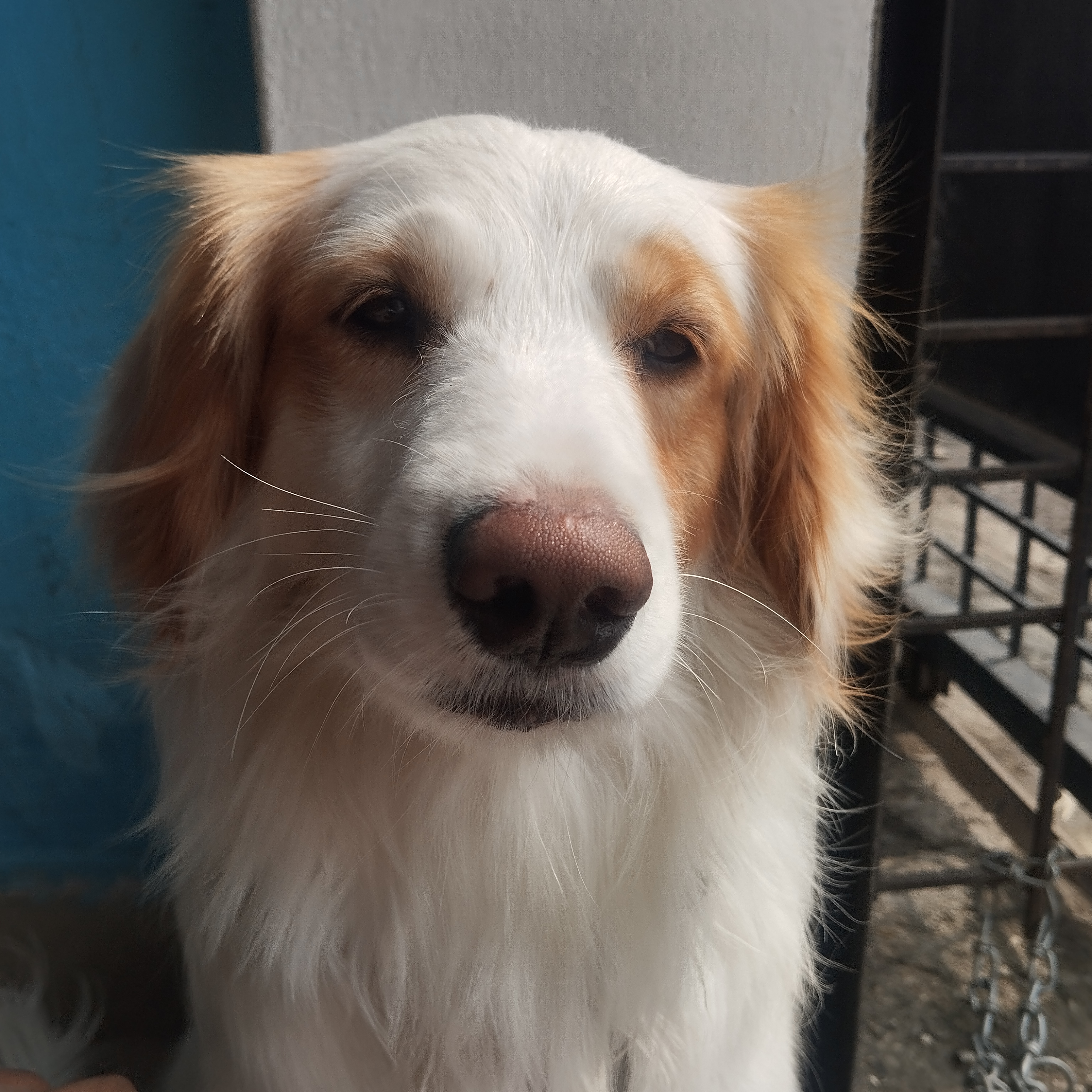 Zeus 2