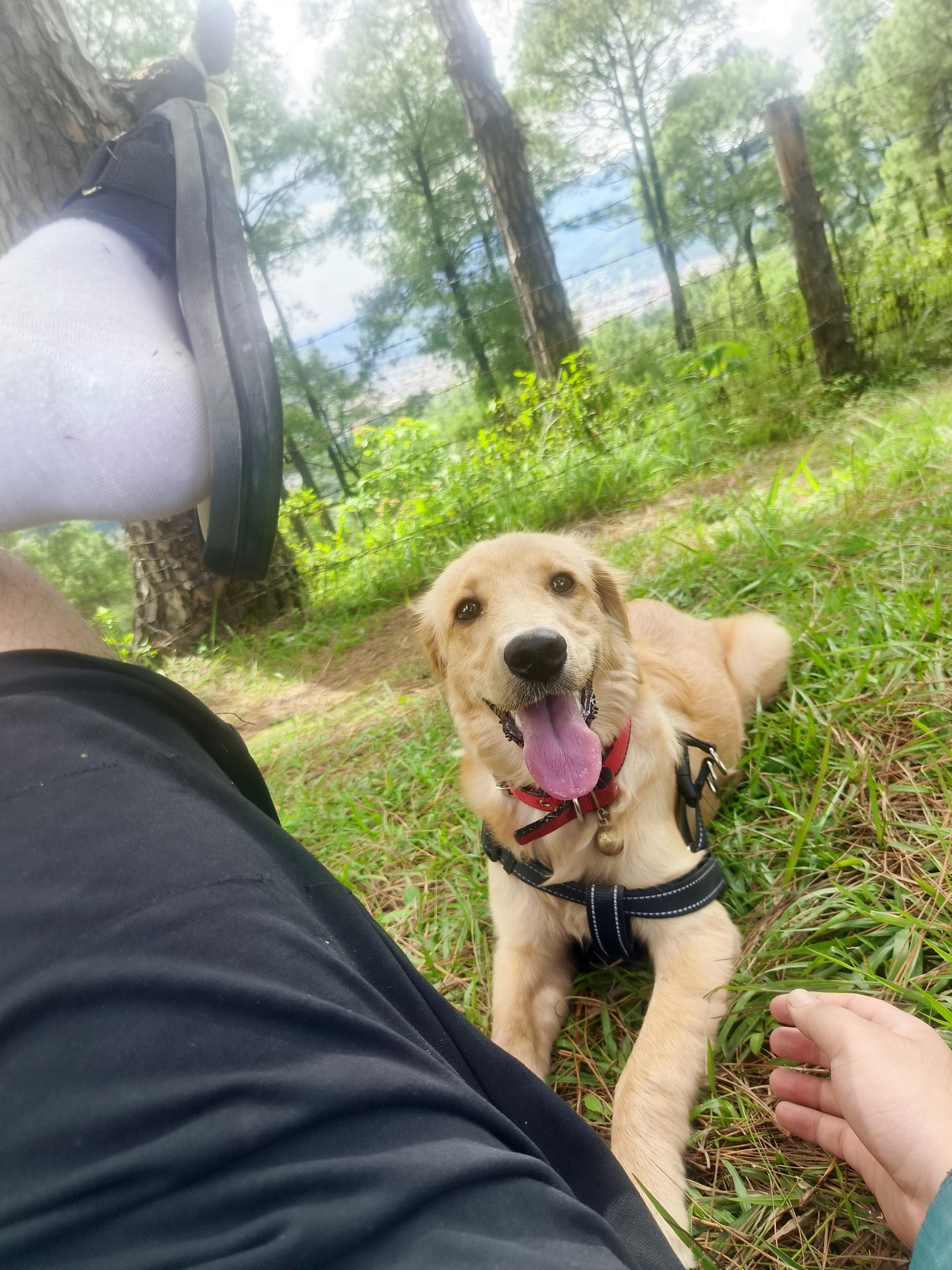 Coco