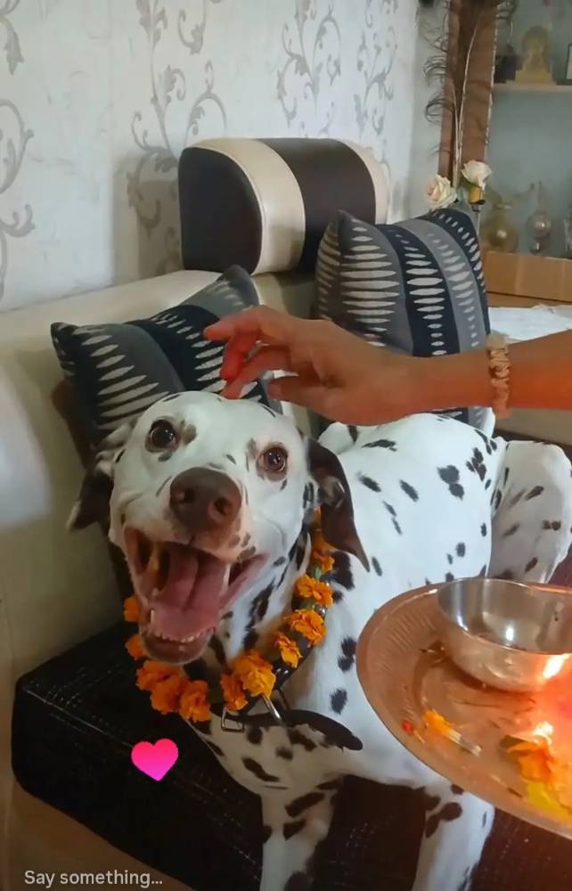 Happy 3