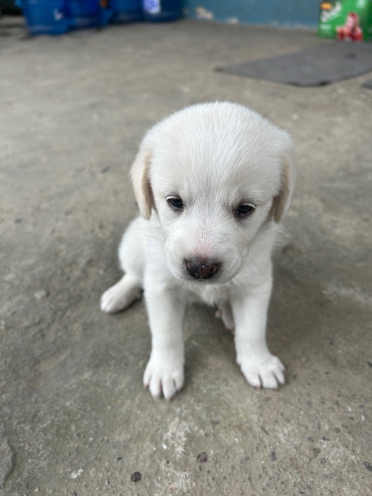 New born