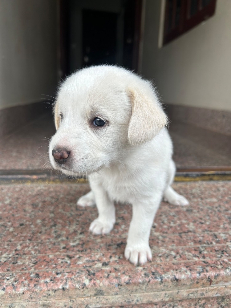 New born 2