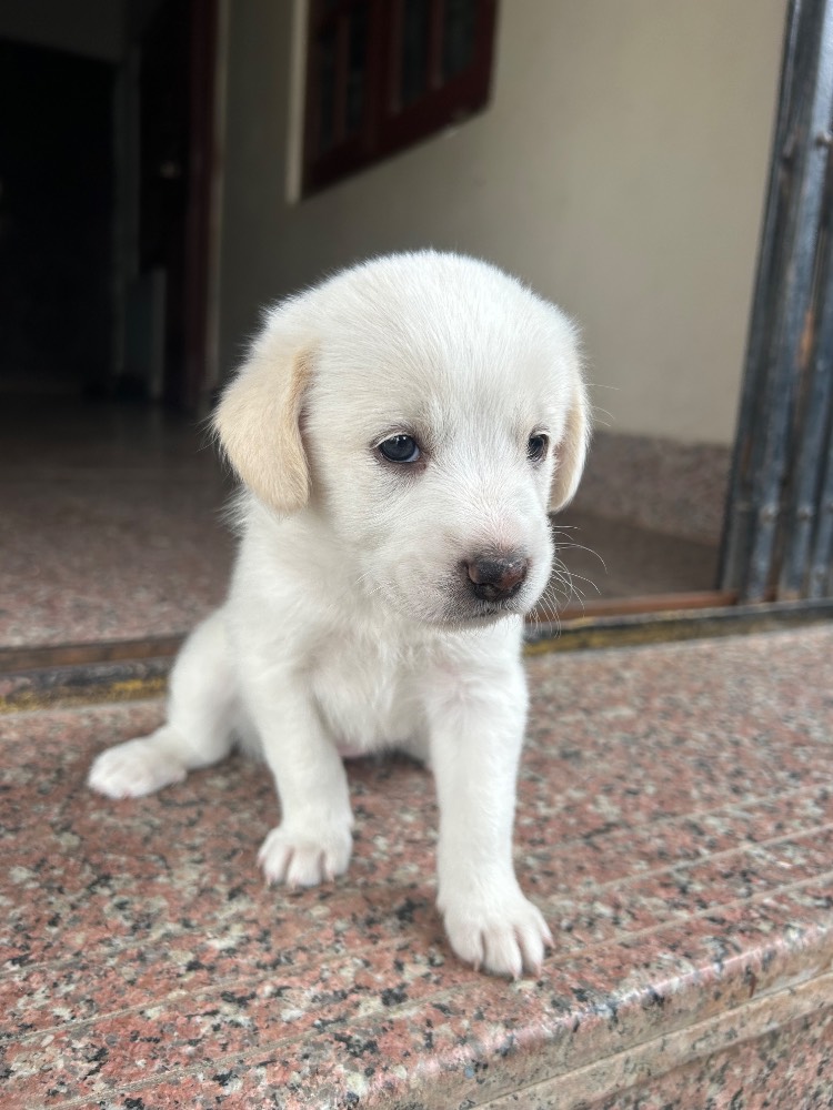 New born 3