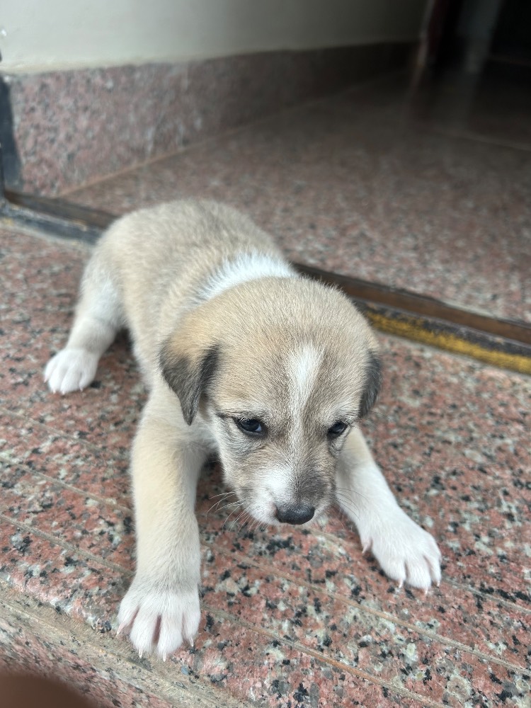 New born 2