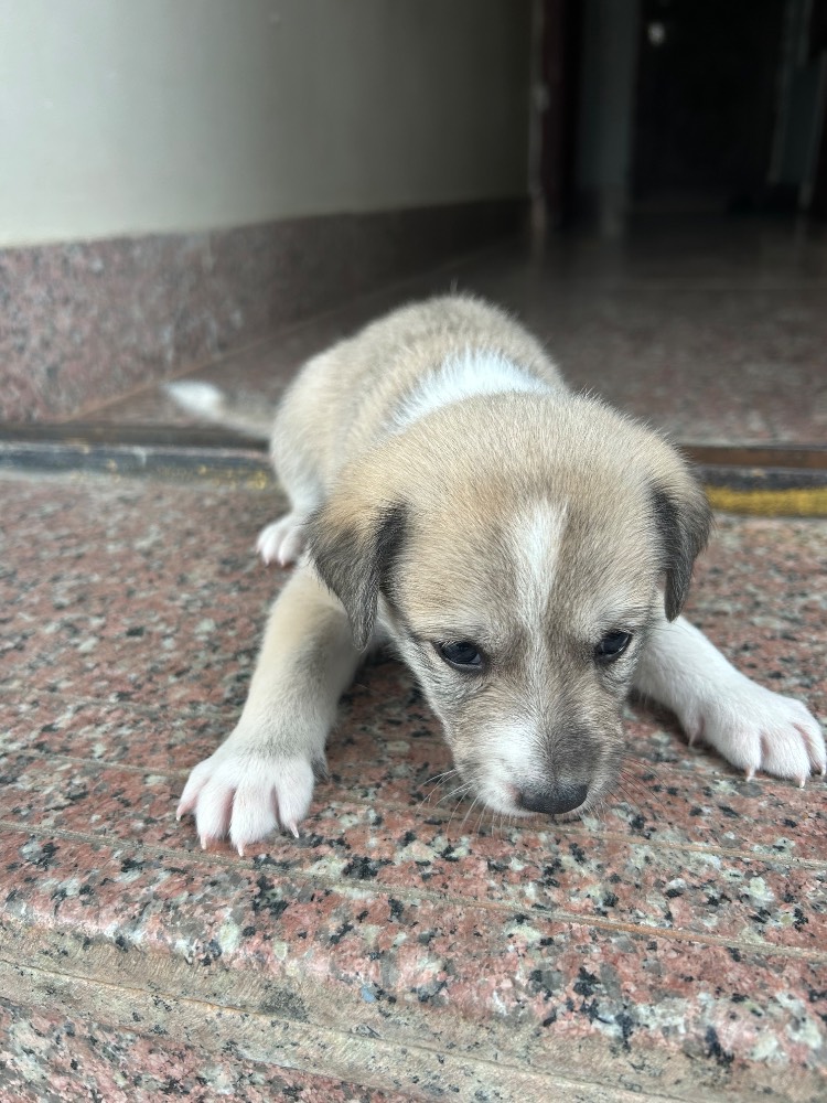 New born 3