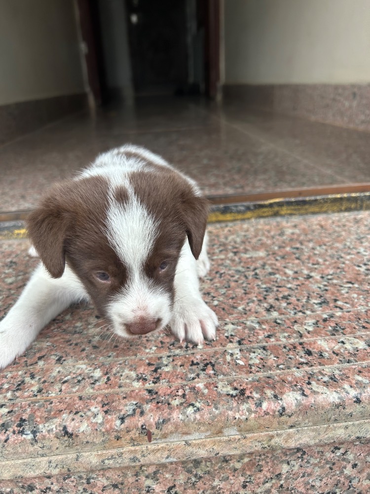 New born
