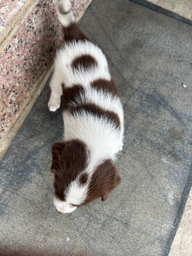New born 3