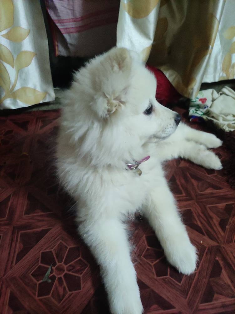 Duffy