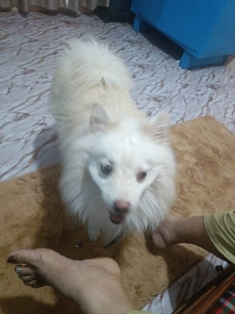 Duffy 2