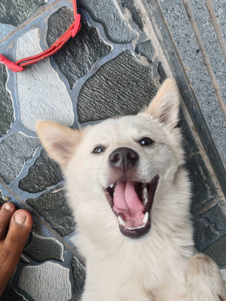 Luna