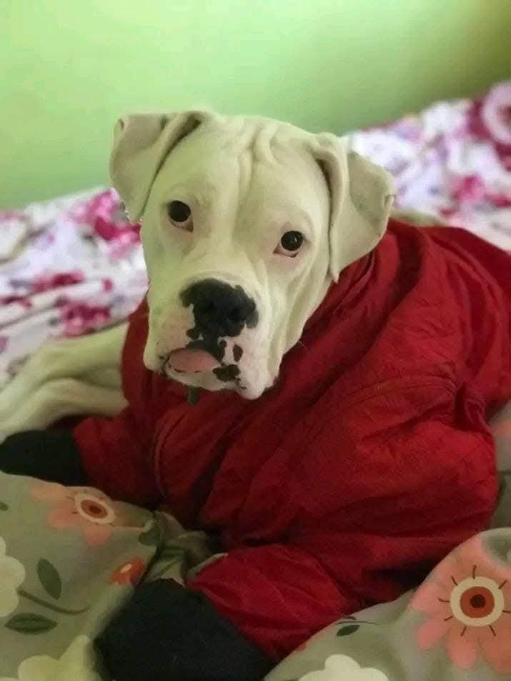 Leo