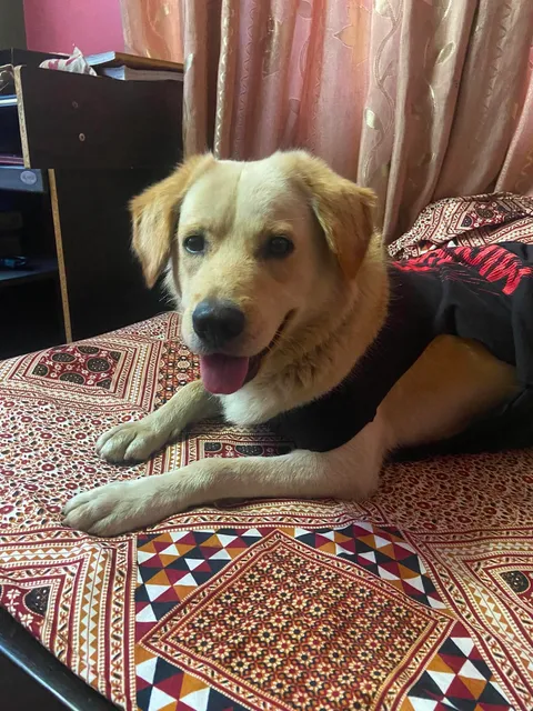 coco