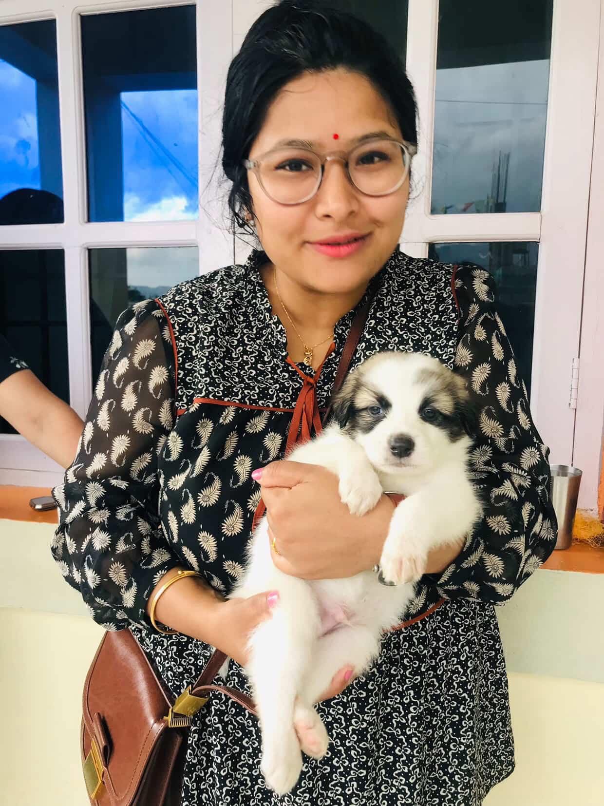 No name. No home. Now has both — thanks to HamroPets.