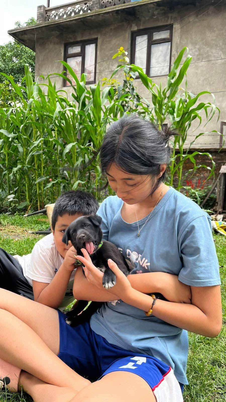 Posted on a Tuesday. Adopted by Friday. Zero cost.