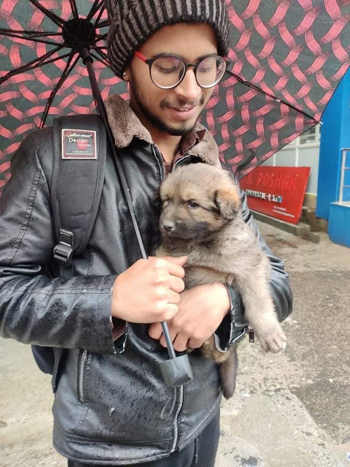 Adoption success story