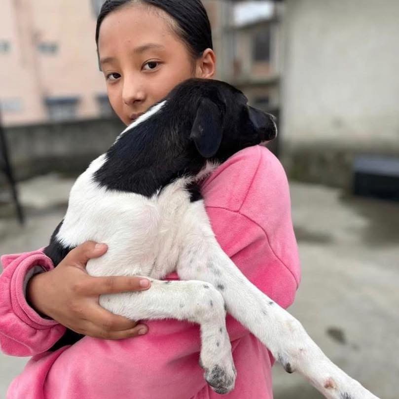 Eight years of doing this. Every single adoption: free.